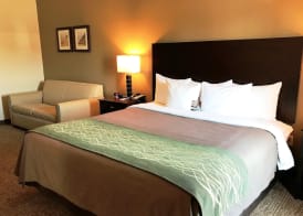 Comfort Inn & Suites Porter near Indiana Dunes 3