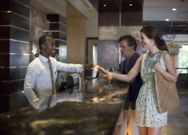 Majestic Elegance Punta Cana - All Inclusive 5