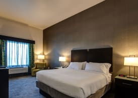 Holiday Inn Express & Suites GATESVILLE - N. FT HOOD by IHG 3