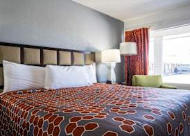 OYO Hotel Ocala, FL I-75 5