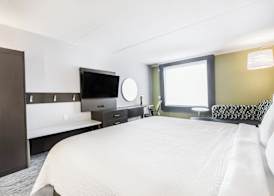 Holiday Inn Express & Suites TORONTO AIRPORT SOUTH by IHG 3