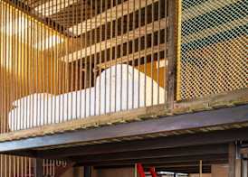 Noah Surf House Portugal 5