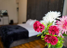 Novana Aparthotel 5
