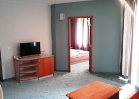 Family Hotel Saga 5