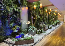 Hotel Catedral Plaza 3