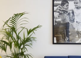 Hotel Cutimare - Aeolian Charme 3