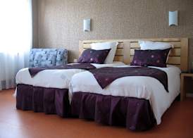 Hotel Restaurant Les Cygnes 3