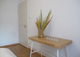 Zurich Furnished Apartments 4