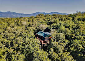 Teniqua Treetops 4