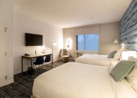 TownePlace Suites by Marriott Conroe 5