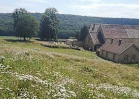 Domaine de Fontenelay 2