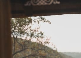 Leopard Mountain Safari Lodge 5