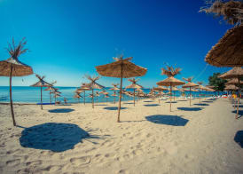 Prestige Fort Beach 1plus1 apartment 5