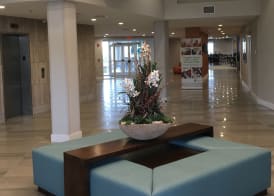 Holiday Inn & Suites DAYTONA BEACH ON THE OCEAN by IHG 2