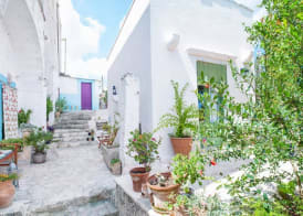 Masseria delle Rose 1760 3