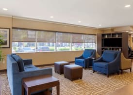 Comfort Suites Ontario Airport Convention Center 3