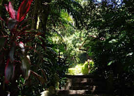 Koompartoo Retreat Bellingen 3