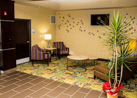 Holiday Inn Express & Suites SIKESTON by IHG 3