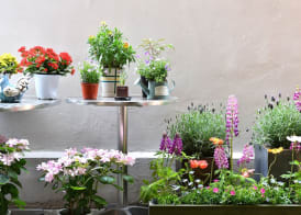 The Blossom Yeonnam Guesthouse 3