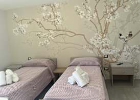 b&b TENUTE LAZZARINO 4