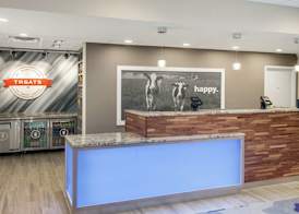 Hampton Inn & Suites Rocky Hill - Hartford South 5