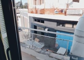 Bee Hostel Paphos 5