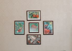 Bayshore Resort 4