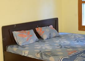 Amrit Palace 2