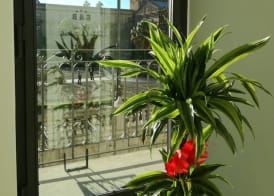 I Vicini della Cattedrale 3