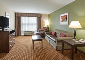 Holiday Inn DAYTONA BEACH LPGA BLVD by IHG 4