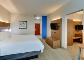 Holiday Inn Express & Suites WAXAHACHIE by IHG 5