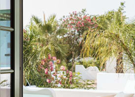 The Green House by Santiago de Alfama 4