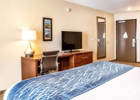 Comfort Inn & Suites Niagara Falls Blvd USA 4