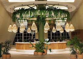 Grand Sirenis Riviera Maya Resort & Spa - All Inclusive 2
