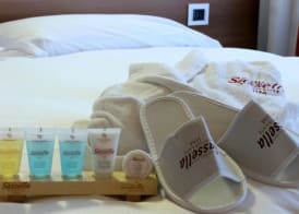 Hotel Sassella 5
