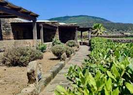 Abraxas Vigne di Pantelleria - Tenuta Bukkuram 5