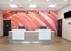 Best Western Plus Mobile Inn & Suites 2
