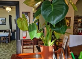 Hotel Restaurant El Bosc 2