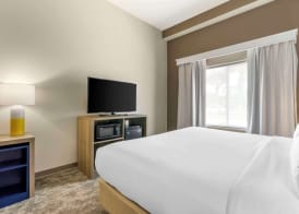 Comfort Suites Sarasota-Siesta Key 5