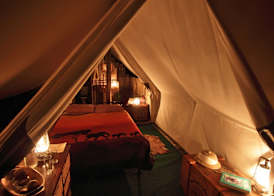 Quatermain's 1920's Safari Camp – Amakhala Game Reserve 4