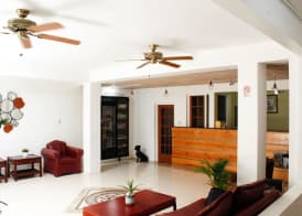 Ocean Palms Resort 2