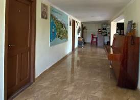 Green House Guest house 5