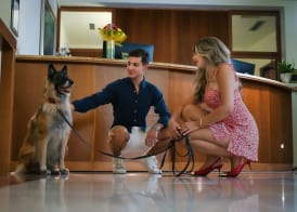 BRISTOL Hotel Opatija 5