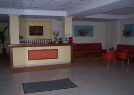 Perros Hotel 3