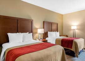 Comfort Inn Chester - Richmond South 4