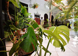Hotel Casa de los Azulejos 2