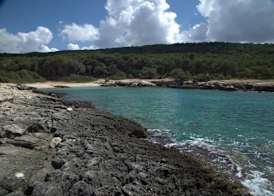 B&B Happy Days Golfo di Gallipoli 3