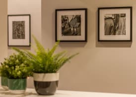 Athena Guest House 4