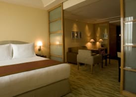 The Grand New Delhi 4
