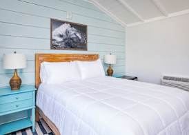 Surf House 5